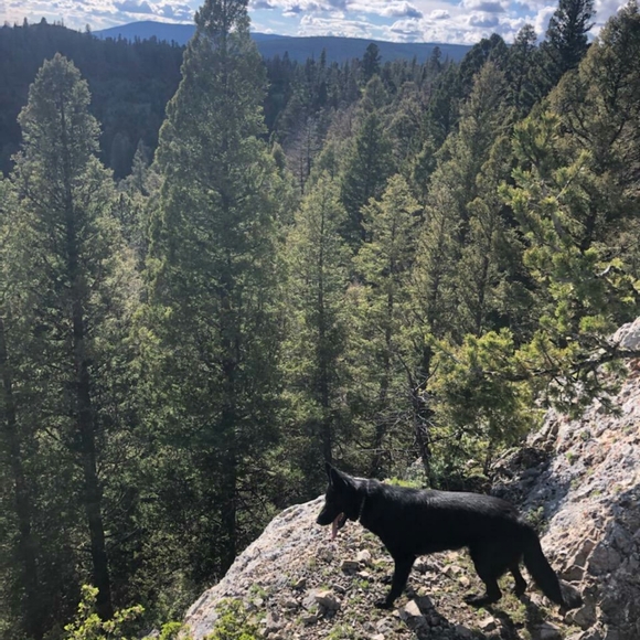 Meet your Posher, Amber - Picture 6 of 9